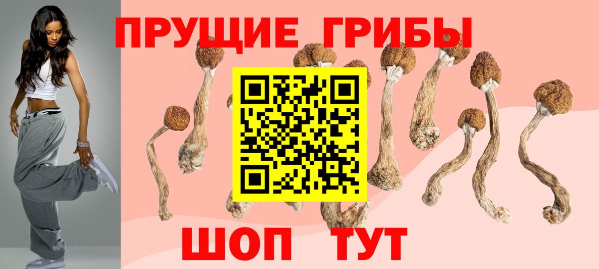 Галлюциногенные грибы прущие грибы  наркошоп  Вход с VPN  Ефремов  Псилоцибиновые грибы ЛСД 