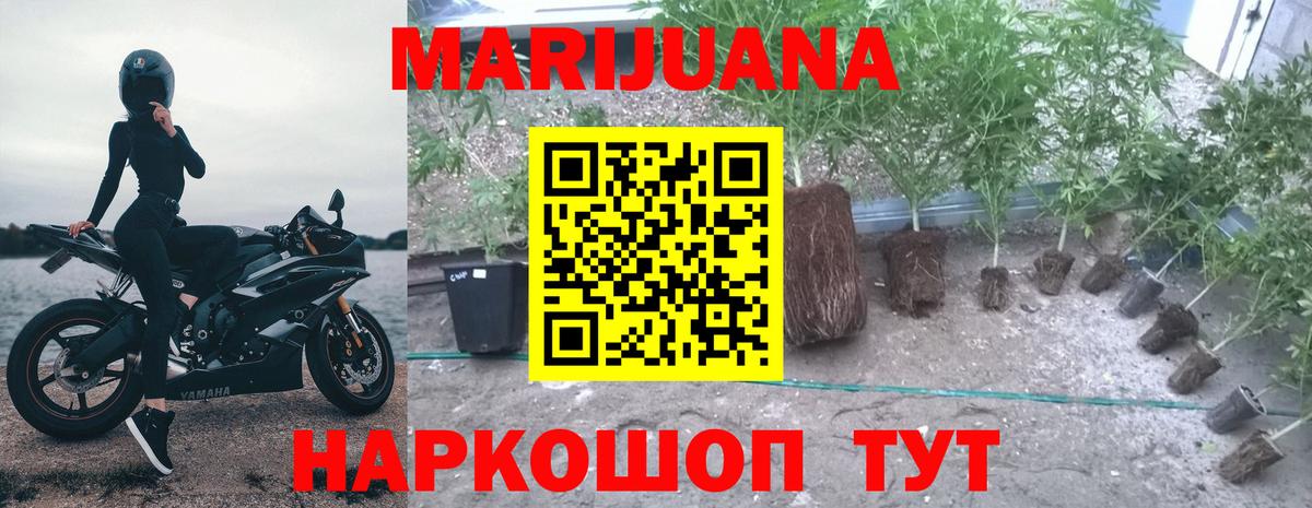 Бошки Шишки AK-47 Ефремов